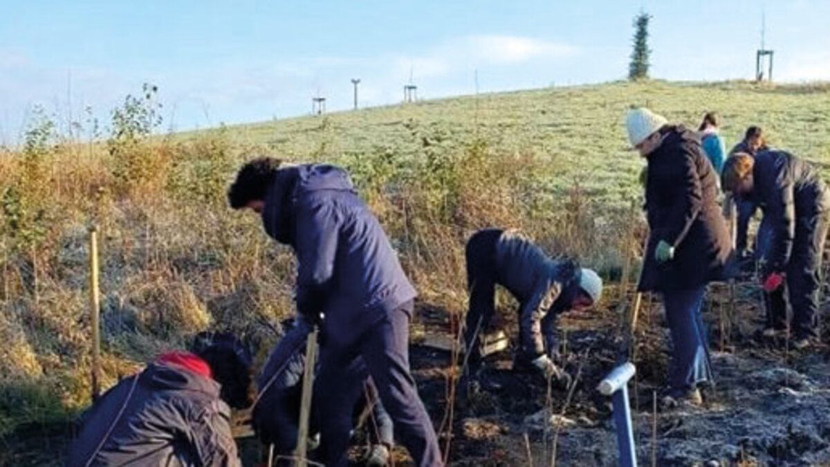 Plusieurs personnes plantent des arbres sur une butte. Le ciel est bleu.