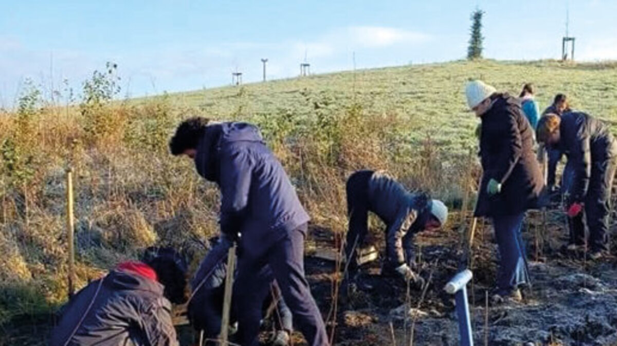 Plusieurs personnes plantent des arbres sur une butte. Le ciel est bleu.