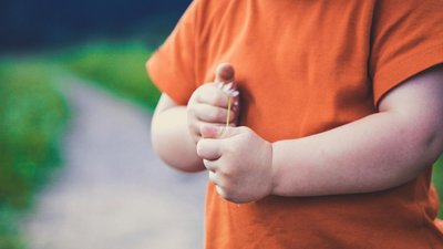 Illustration image showing a child framed at arm height, on a path, wearing an orange T-shirt and holding a flower